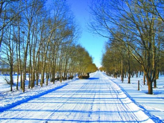 雪都崇礼