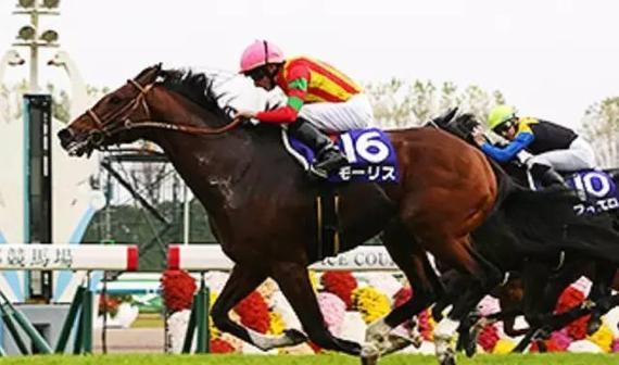 　　▲图/Horse Racing in Japan，‘满乐时’（左）
