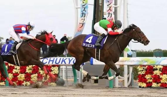 ▲图/Horse Racing in Japan，‘森巴舞后’（右）