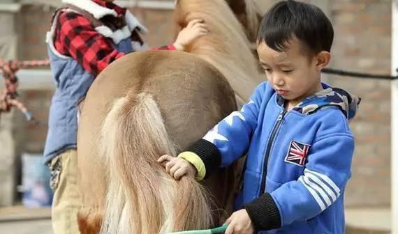 马术微学院体验课来袭