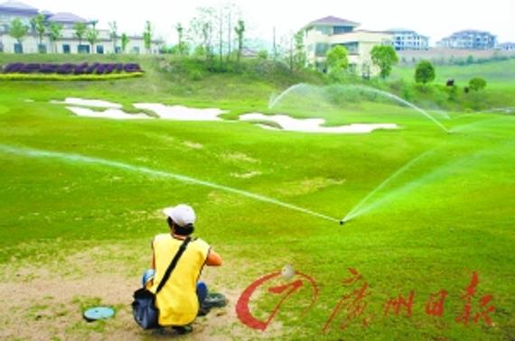 广东某高尔夫球场，一名工作人员无所事事蹲在草地上