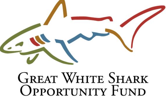 诺曼2013年创办了大白鲨机会基金