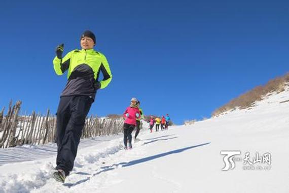 2016乌鲁木齐冰雪峡谷马拉松侧记：穿梭在松林白雪间。