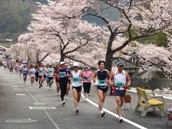 日本温海樱花马拉松