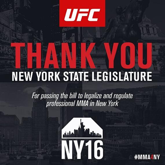 MMA运动将在纽约州彻底合法化