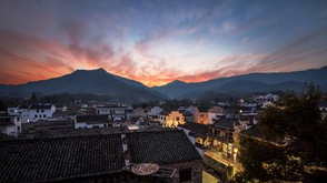 视频-油菜花马拉松：带不走的美丽