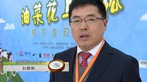 视频-2016年油菜花马拉松祝福汇总