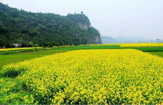 想来安徽泾县来跑马拉松？但又担心交通和住宿问题？