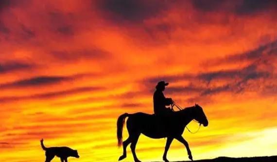 骑手和马的爱情邂逅 在尘世里心心相印的奔跑