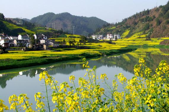 2016泾县油菜花马拉松赛道路临时交通管制通告详解。