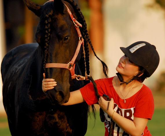 AQHA西部马术公开赛将举办