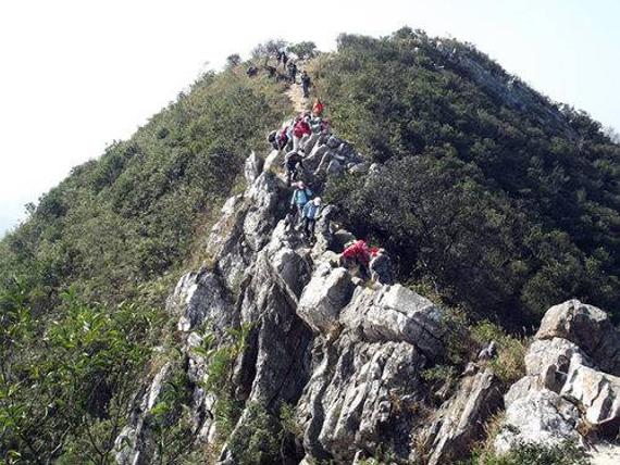 女子大鹏排牙山登山坠崖被困 60人接力抬其下山_登山-攀岩_新浪竞技风暴_新浪网