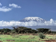 李世石退会背后的阴谋论 为何要“天才自毁”