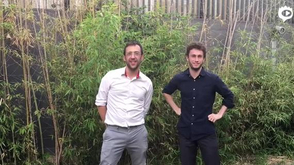 2016长城马拉松群星祝福视频集锦