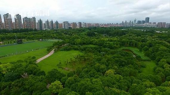 上海环世纪公园慢行步道将升级