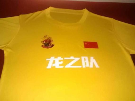 龙之队球迷团已经准备了以黄色为主的助威服