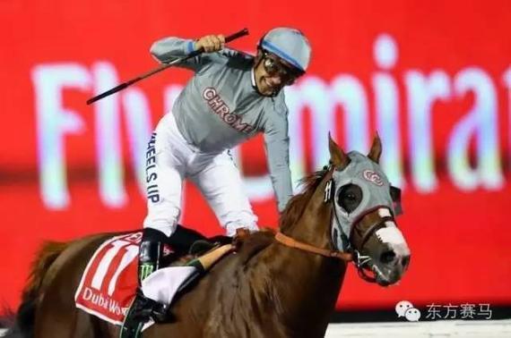 ‘闪亮加州/加州铬*’CaliforniaChrome