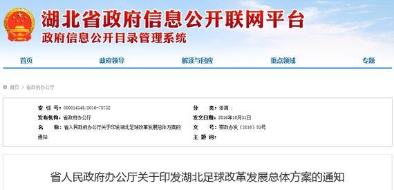 湖北足球改革方案发布 4年内踢中超14年内踢亚冠