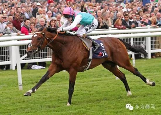 图/Juddmonte,‘范高尔’