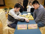 2016围棋之乡联赛青岛幸运获冠 上海嘉定亚军