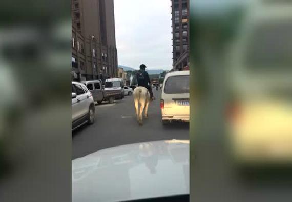 福州现漠视上学圆圆二人组是环保还是骑马法张父子花样滑冰图片