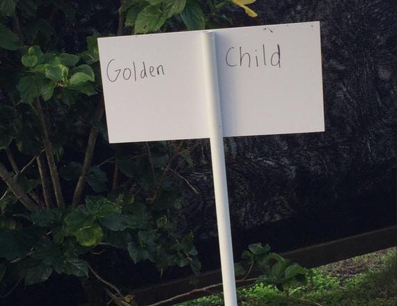 斯皮思停车位前竖起的写有“金童”的牌子