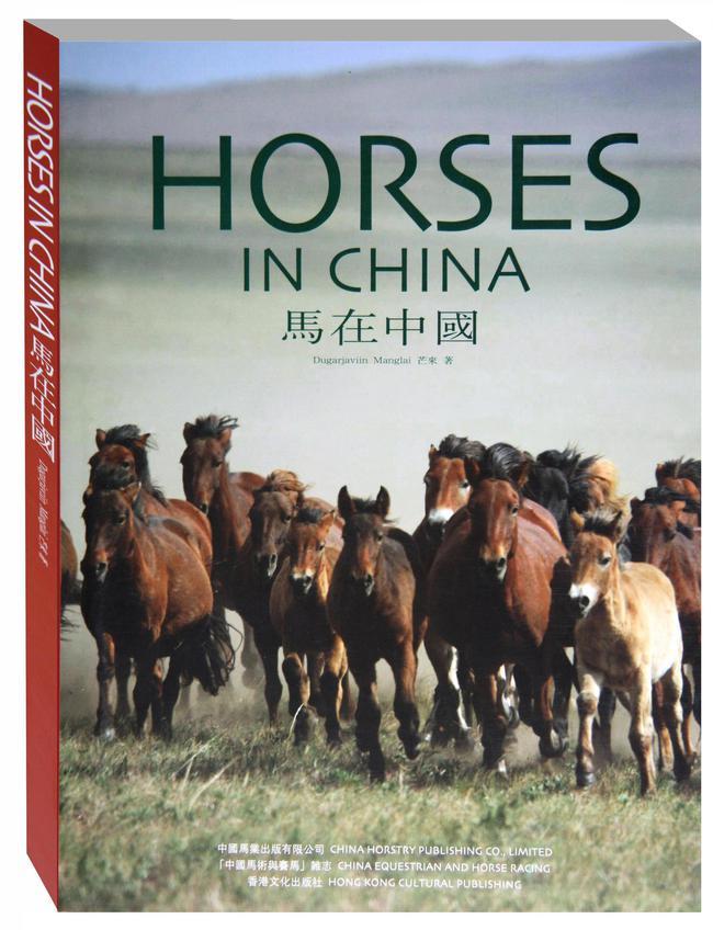 《马在中国》