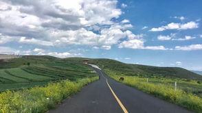 赛道风景美如画