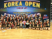 中国南京啦啦操公开赛参赛队伍一览