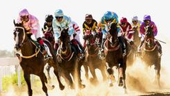 狂野！玉龙杯速度马摄影展