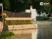 视频-马术三项大师赛第4站 体验越野赛场激情时刻