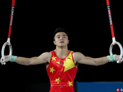 体操世锦赛刘洋吊环再添一铜 希腊名将卫冕成功