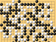 动图棋谱-LG杯柯洁负井山裕太 谢尔豪胜江维杰