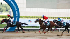 玉龙赛马公开赛第17比赛日精彩对决