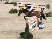 视频-国际马联场地障碍赛现场 人马配合默契展英姿