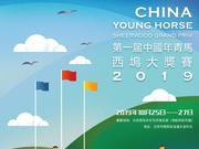 年青马大赛中方裁判刘燕专访：用至少6年时间调教出中国良驹—我们自己最好的马