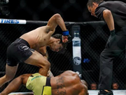 潘托哈VS菲格雷多蝇量级顶级对决UFC240上演