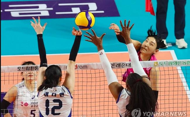 韩女排联赛现代建设夺第3冠 金软景连续2届获亚军