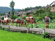 云南滇西边境研学课程：沿中缅边境探寻地质奇观