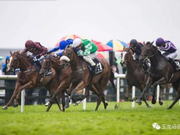 张月胜携玉龙马业暨“年度最具眼光马主奖”之后再获表列赛冠军！