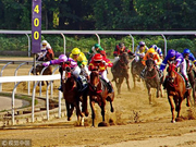 武汉国际赛马节开幕 200多匹赛驹参赛创历届之最