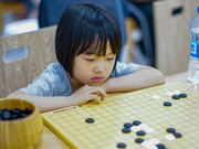 反思疫情下的围棋培训：教出业5是最值得夸耀的？