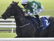 【玉龙裕衡】爱尔兰传捷报，玉龙旗下赛驹再夺表列赛冠军！