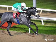 中国玉龙赛驹今夜再次登陆欧洲赛场！