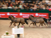 视频-国际马联马车世界杯 瑞士名将毫厘之差夺冠