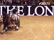 视频-国际马联马车世界杯 荷兰老将夺冠振臂高呼