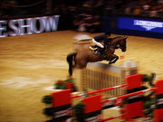 视频-国际马联场地障碍赛现场 法国骑师实力夺冠