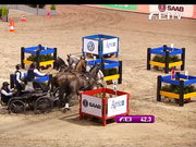 视频-国际马联马车世界杯 澳洲名将瑞典成功登顶