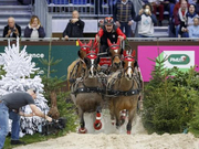 视频-国际马联马车世界杯 澳洲名将发挥出色再次夺冠