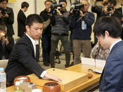 中国围棋协会发贺电：少年“打虎英雄”谢尔豪